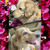 user92939042308036