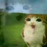 แป้งโยคี