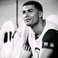 saul__d.b