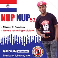 nupnupmedia2