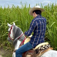 jorgemg.v