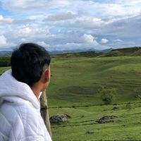 dm_7dm