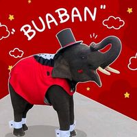 elephantthailandfc
