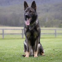 marek.gsd