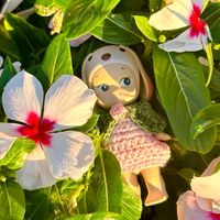 suara asli - 𓇼 ⋆. ̊ 𓆉 𓆝 𓆡⋆. ̊ 𓇼