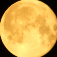 speed song blackpink