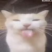 ttr_7.7