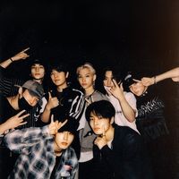 mystery_stay