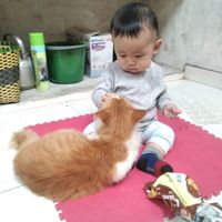 suara asli - فيكا