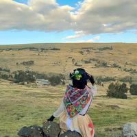 alee_e29