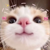 เสียงต้นฉบับ - ᴊᴀᴏɴᴜᴛᴛ🐰🥕