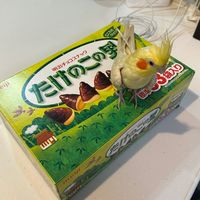 kosuke8090