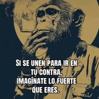 _jeessiid31