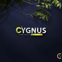 original sound - cygnus_facility_services