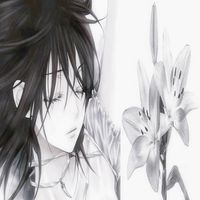 nami_zpp1