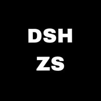 original sound - DSHZS