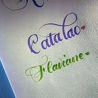 flaviane.quintiliano