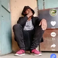 original sound - nasiro650