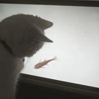 takeyoubyhand