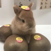 オリジナル楽曲 - しゅう