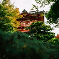 nhạc nền - NNTT-CapCut🎬[NK]⛅