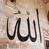 altun_saadet_altun