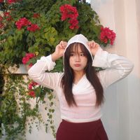 tampaishop