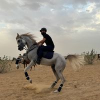 suhaibabudaqqa