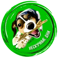 Самая красивая собака