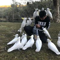 faisaltrix