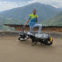 amarilloviralempr