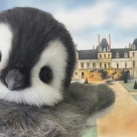 suara asli - estherrxxn