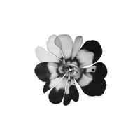 original sound - rami