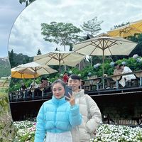 nhạc nền - Khôi Thành Mai