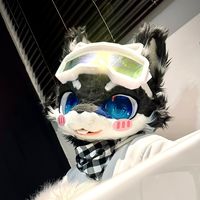 meijifurry