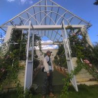 original sound - MGH Vlog