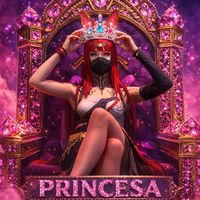 nts.princesa
