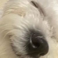 오리지널 사운드 - 눼눼~^
