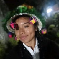 normita14.0