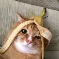 santana moonflower khmer cover