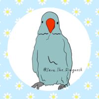 zazu_the_ringneck