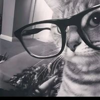 suara asli - _about_°misellluvv°_