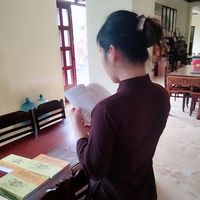 nhạc nền - Hoa Sen