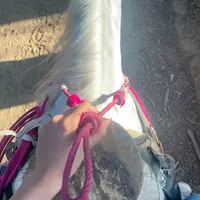 original sound - useruser20146