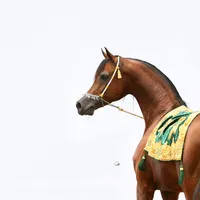 original sound - qt345