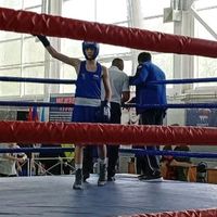 fritzboxing