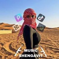 original sound - music_shengavit