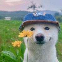 original sound - ᴊᴀᴋᴇ ᴡɪʟʟɪᴀᴍ ✰