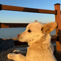 original sound - jmin586