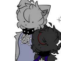 gray_cat291
